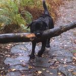 Hazel Dale - @hazel.dale.73 - Instagram
