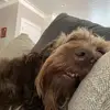 Hazel_Dale_Mushrooms - @hazel_dale_mushrooms - TikTok
