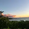 hazel - @hazelsdale - TikTok