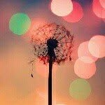 hazel Damian *-* - @hazel_morales34 - Instagram
