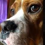 Hazel Daniels - @witchhazelbean - Instagram