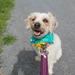Rosie - @rosie_hazel_darling - Instagram