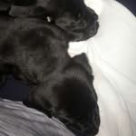 Deacon & Hazel Grace - @deaconhazelgrace - Instagram