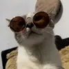Hazel Delgado - @hazeldelgado21 - TikTok