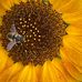 Hazel Delong - Facebook