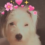 HaZelspam - @hazel_delongspam - Instagram