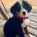 Hazel Dickens Calder - Facebook