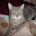 Hazel Dickerson - Facebook