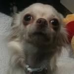 Hazel Donaldson - @haze.ldonaldson66 - Instagram