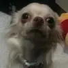 Hazel Donaldson - @hazeldonaldson0 - TikTok
