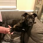 Hazel Downs - Facebook