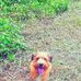 Hazel Downs - Facebook