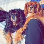 Hazel Dyer - @hazeledyer - Instagram