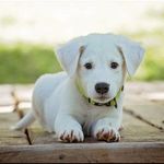 Hazel Ellis - @hazel.ellis.39750 - Instagram