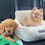 Hazel & Finley - @little_finzey - Instagram