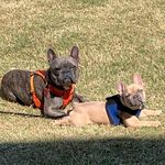 Melissa McMahon - @thelifeof_finley_hazel - Instagram