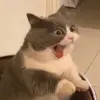 fischerhazel - @fischerhazel - TikTok
