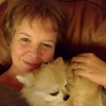 hazel ford - @hazelsbuddies - Instagram