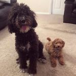 Hazel Ford - @hazel9105 - Instagram