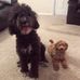 Hazel Ford - Facebook