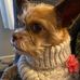 Hazel Foreman - Facebook
