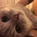 Hazel Forrest - Facebook
