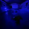 Hazel - @hazel.forrest1 - TikTok