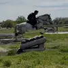 Hazel Gardner - @hazel_gardner_ - TikTok