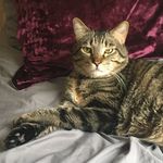 Hazel Garrison - @hazelgarrison2 - Instagram
