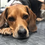 Hazel - @hazel_nut_garton - Instagram