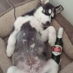Hazel Gilbert - @wmdyef2367 - Instagram