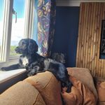 Hazel Goff - @goffhazel - Instagram