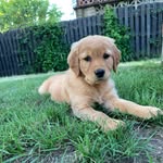 Hazel Lousie - @hazel_the_goodest_girl_1 - Instagram
