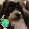 Hazel Gorman346 - @hazelgorman346 - TikTok