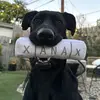 hazel.grace.thelabradane - @hazel.grace.thelabradane - TikTok
