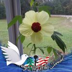 Hazel Graff - @hgraff195370gmail.com_ - Instagram