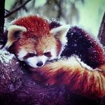 Hazel Graham - @hazel.graham.745 - Instagram