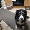 HAZEL - @hazelgraham1 - TikTok