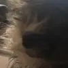 hazelgreeniiz - @nathan12239 - TikTok
