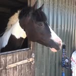 Hazel Grierson - @hazel.grierson - Instagram