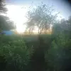 Hazel Rogan - @hazelrogan1 - TikTok
