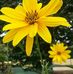 Hazel Grote - Facebook