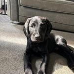 Hazel Hadley - @hazelhadley8 - Instagram