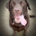 Hazel Hadley - Facebook