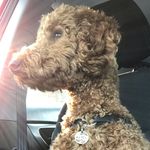 Hazel D. Hale - @hazel_d_hale - Instagram
