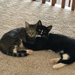 Hazel & Haley - @hazelandhaley - Instagram