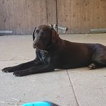 Hazel Haley - @hazelhaley7261 - Instagram
