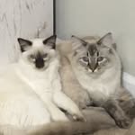 Hampton and Hazel - @hazel.hampton.adventure - Instagram