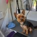 Hazel Hampton - Facebook