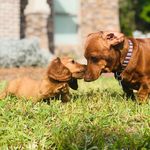 hank and hazel simp - @hankhazelsimp - Instagram